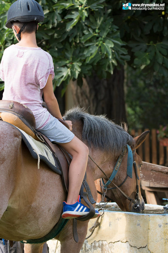 Horse Riding at Rentina - Apollonia Ili
