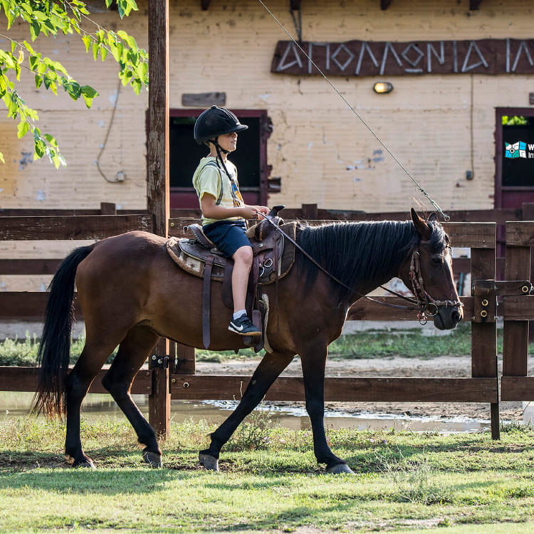 Horse Riding at Rentina - Apollonia Ili